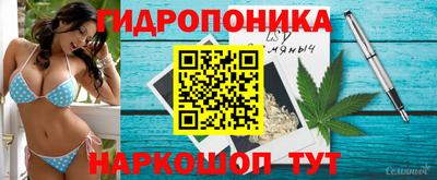 амф Конаково