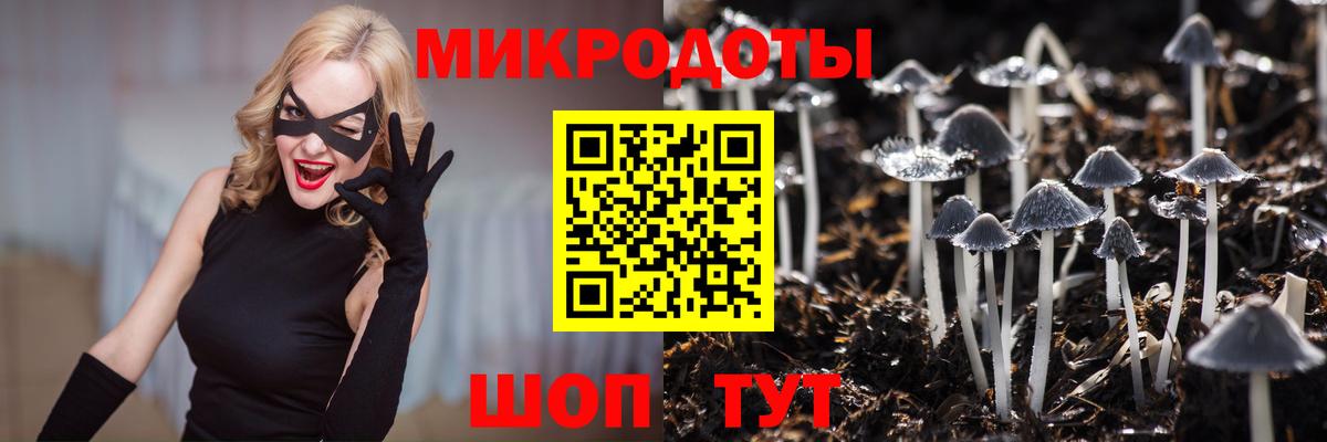 Коркино  Галлюциногенные грибы мицелий  Вход с VPN  Галлюциногенные грибы MAGIC MUSHROOMS 